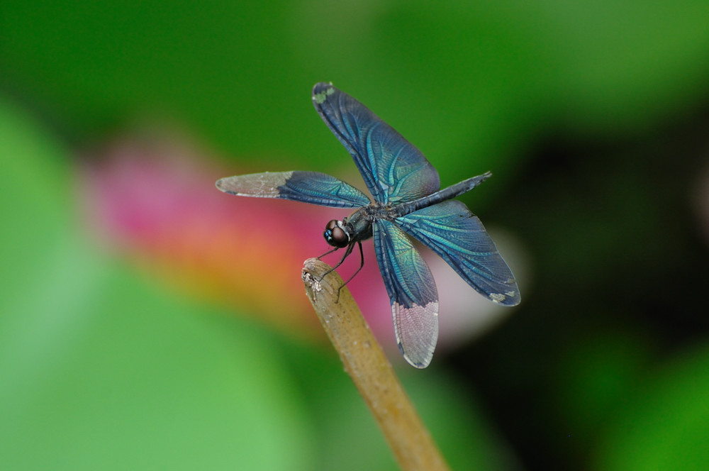 a0143491_227542.jpg