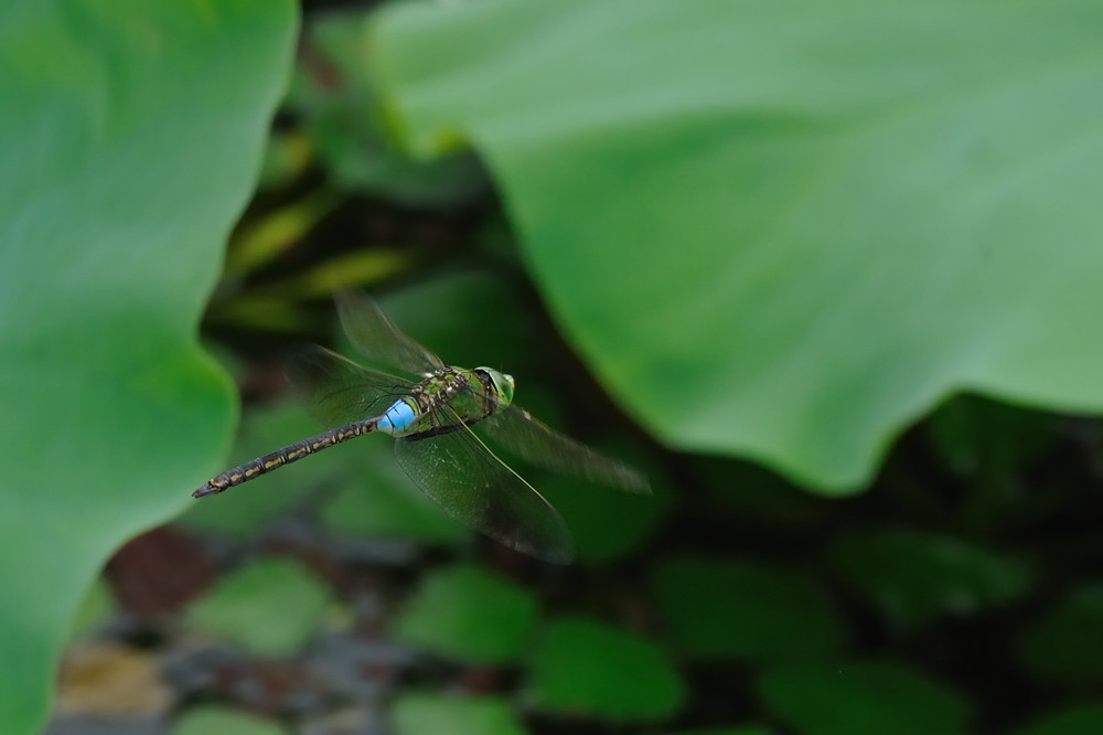 a0143491_2284411.jpg