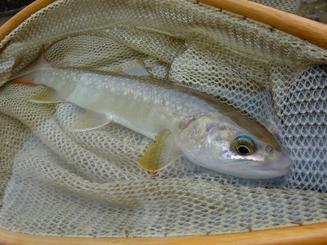 e0202393_21585955.jpg