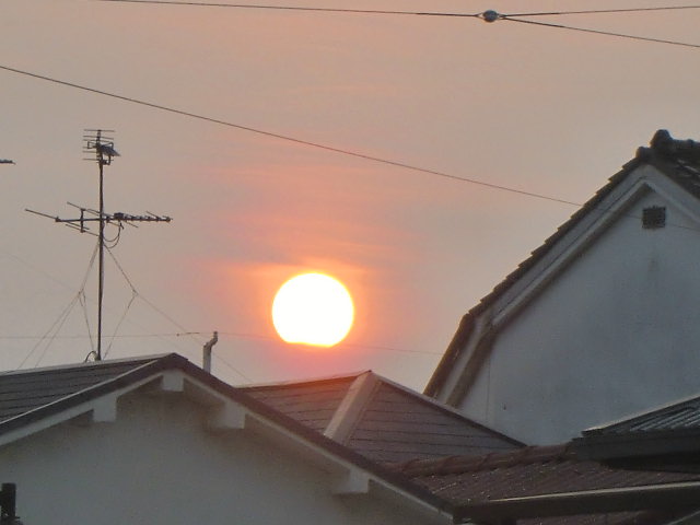 b0044296_21433710.jpg