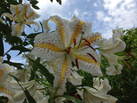 f0201297_12273583.jpg