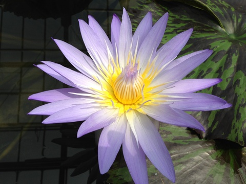 f0201297_236416.jpg