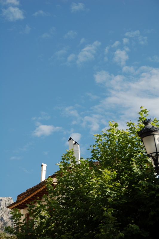 e0061699_1627690.jpg