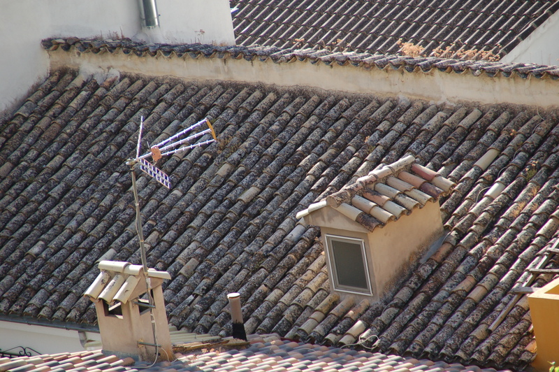 e0061699_16284511.jpg