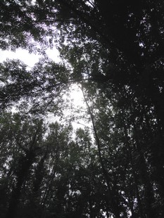 e0206902_23461555.jpg