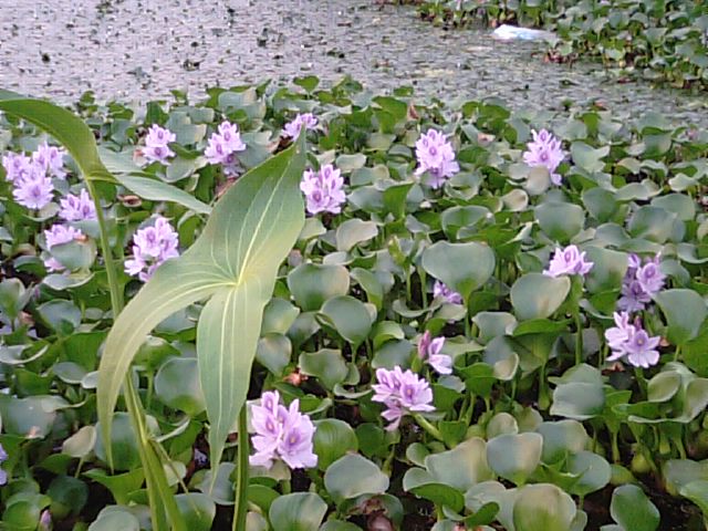 f0231709_12252922.jpg