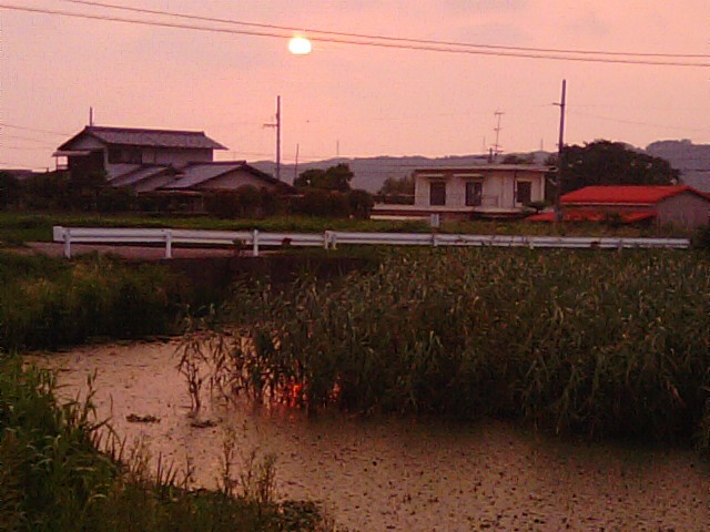 f0231709_1226995.jpg