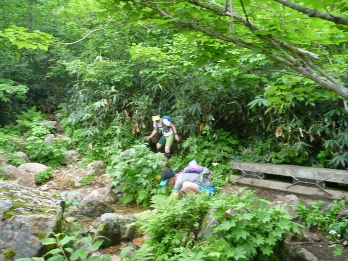 f0225414_0233937.jpg