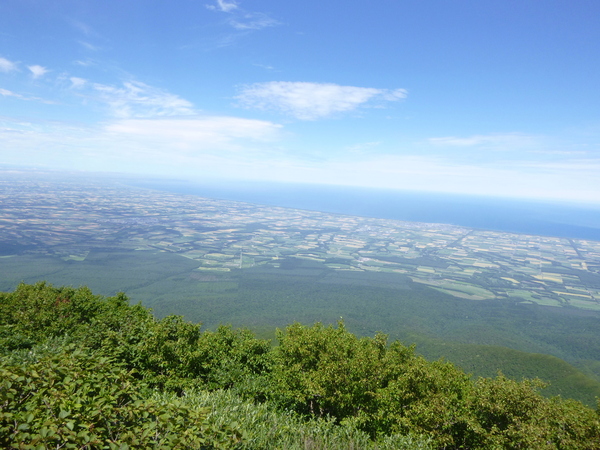 d0170615_1121134.jpg