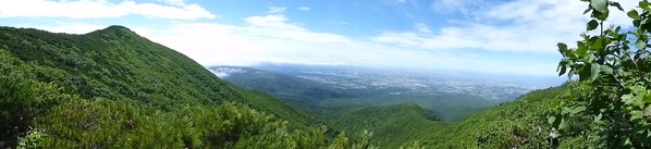 d0170615_1123132.jpg