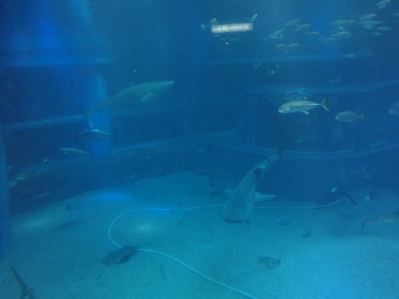 d0286819_15521112.jpg