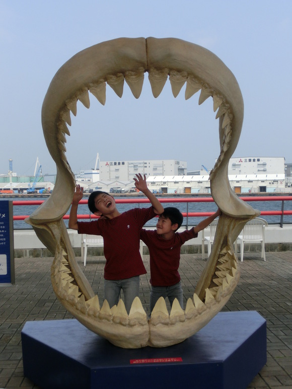d0286819_9562859.jpg