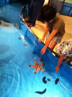 d0249221_17194477.jpg