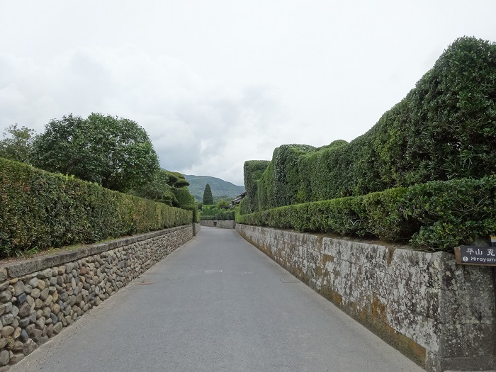 a0024829_23235039.jpg