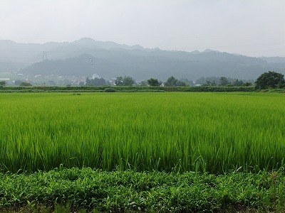 d0252835_152065.jpg