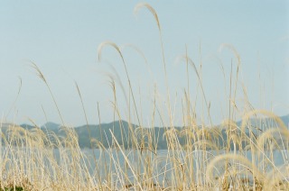 b0178548_1573175.jpg