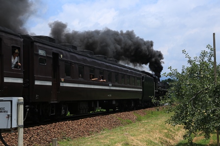 d0163550_21542926.jpg
