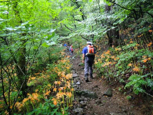 c0179351_8343429.jpg