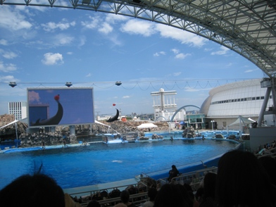 f0202151_1750557.jpg