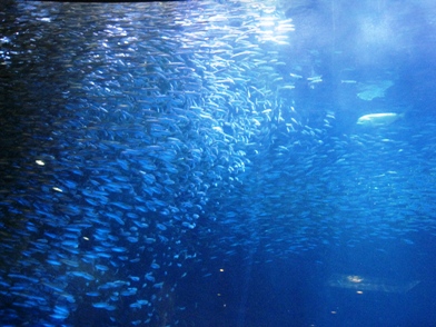 f0202151_1752175.jpg