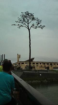 d0137658_224010100.jpg