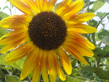 c0108460_16324849.jpg
