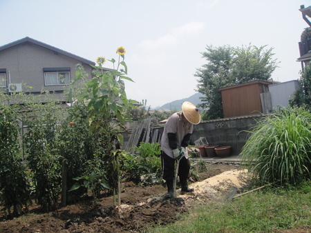 c0108460_16333492.jpg