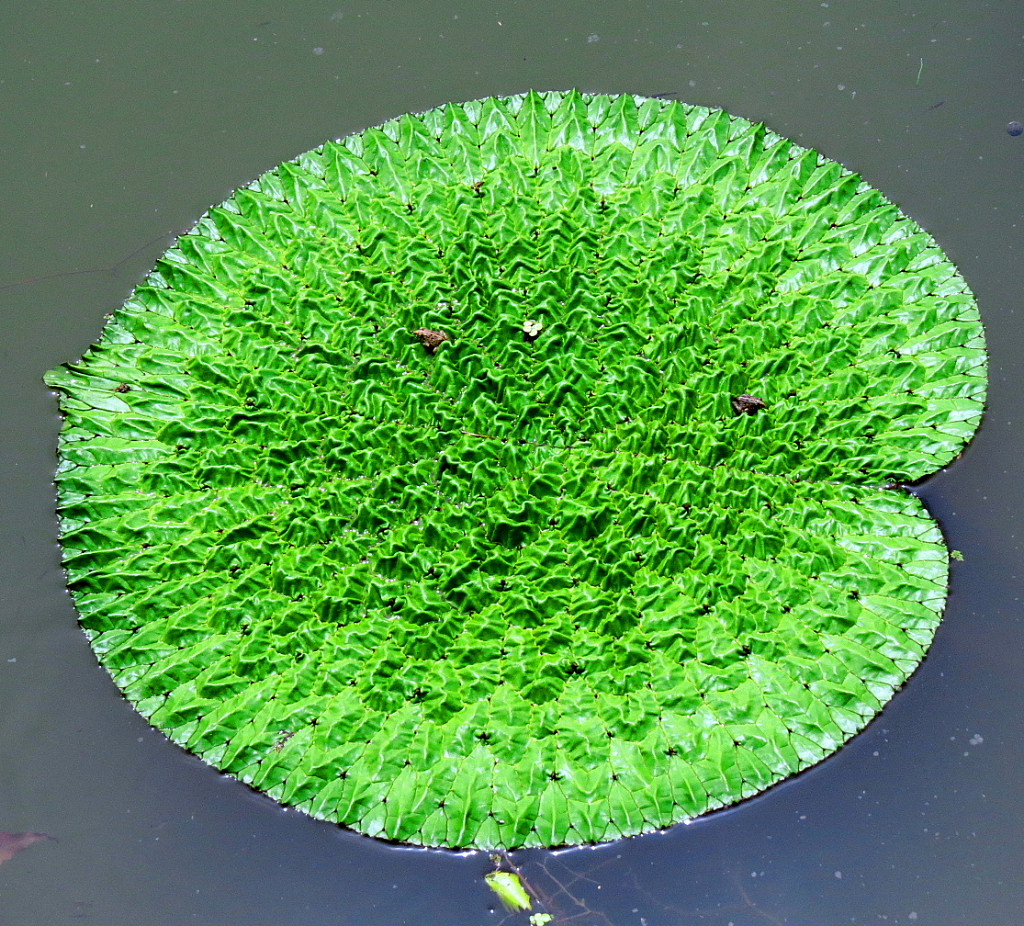 c0305565_18214847.jpg