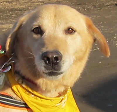 a0132275_8114735.jpg