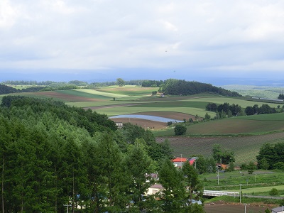a0307675_8493854.jpg