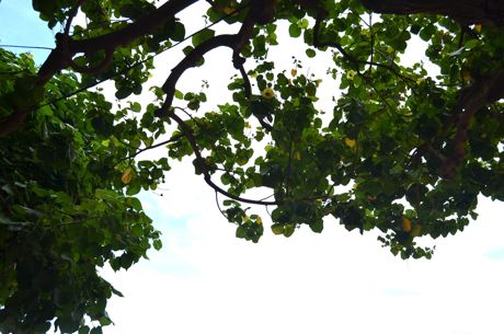 a0228480_14102034.jpg