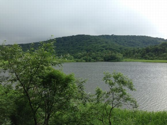 d0082980_21213745.jpg