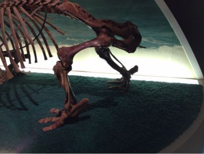 e0252180_2047149.jpg