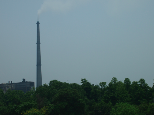 a0146493_12243912.png
