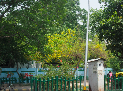 a0146493_1334820.png