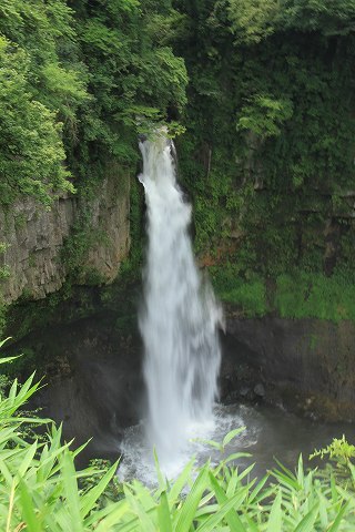 a0222494_1422856.jpg