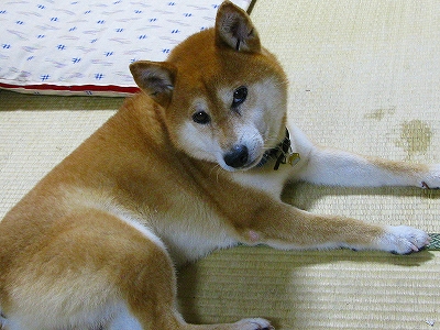 f0181394_16403167.jpg