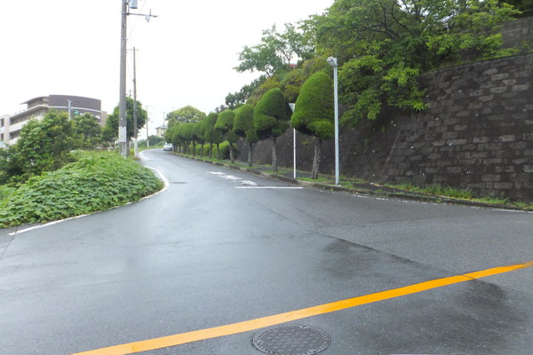 b0212898_1063588.jpg