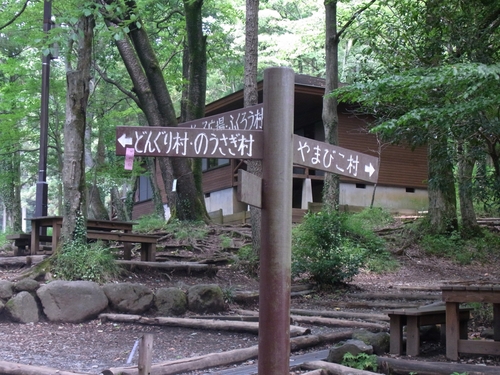 b0230598_203376.jpg