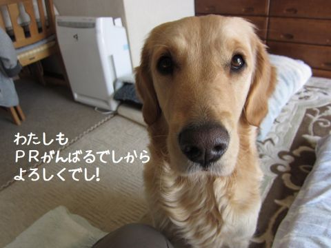 b0008217_2031245.jpg
