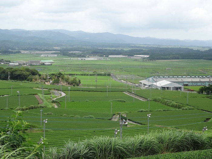 a0024829_033341.jpg