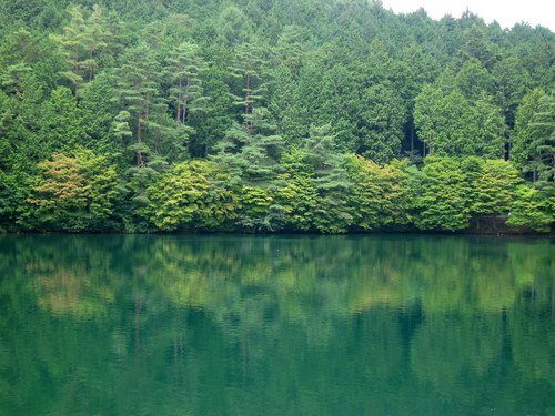 b0178339_2344327.jpg