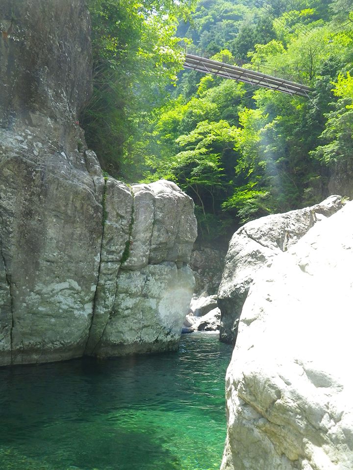 d0052243_8401747.jpg