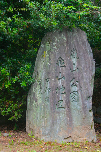 d0036450_10562727.jpg