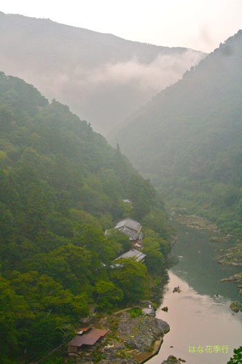 d0036450_10565612.jpg