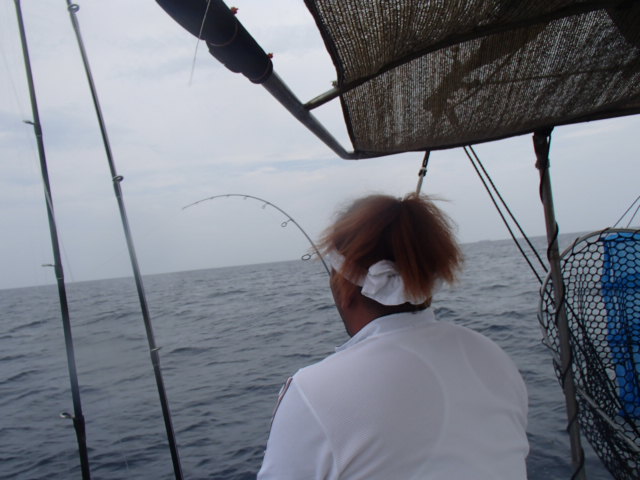 a0248152_1948624.jpg
