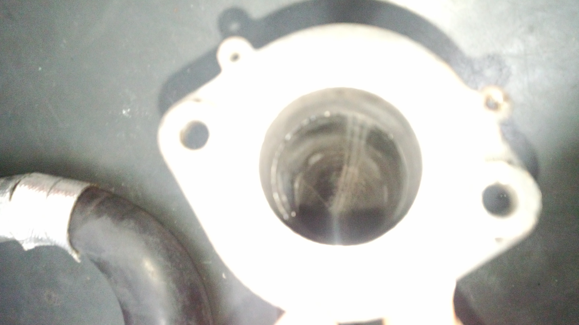 e0114857_8361566.jpg