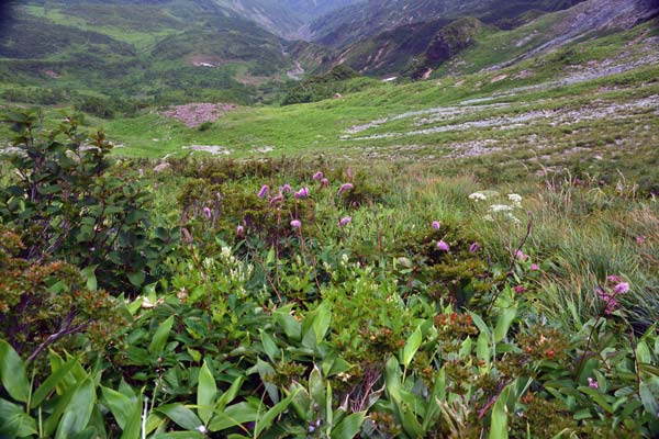 c0043361_22414499.jpg