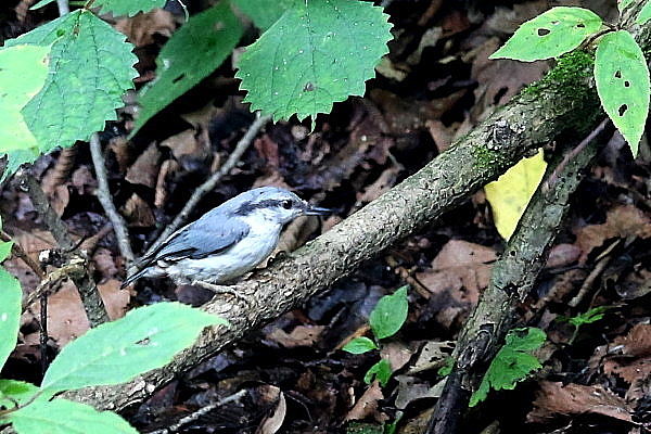 f0215964_13113273.jpg