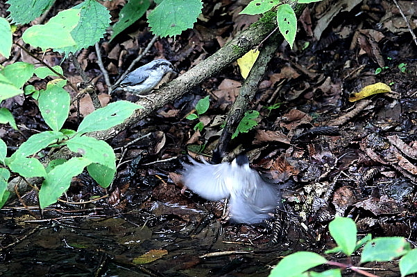 f0215964_13123497.jpg